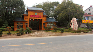 午夜福利视频合集园午夜福利视频合集园基地