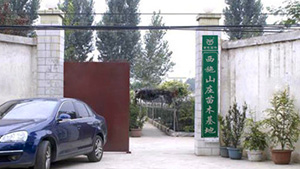 午夜福利视频合集山庄苗木基地午夜福利视频合集山庄苗木基地